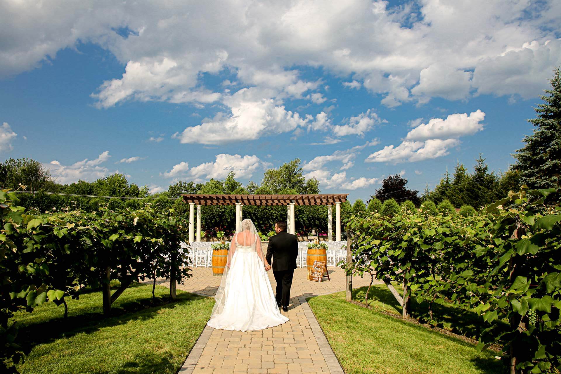 Weddings Birch Wood Vineyards